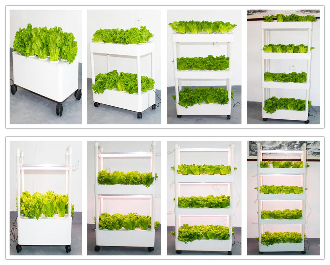 3 Layers Hydroponics System