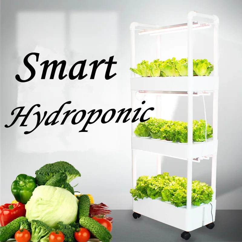 3 Layers Hydroponics System