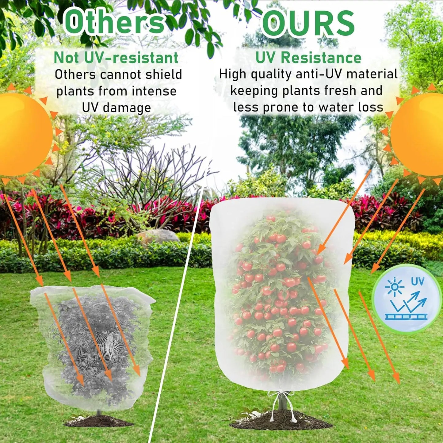 Protection Bags for Plants